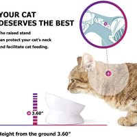 Y YHY - Cuenco de cerámica para comida de gato, diseño inclinado, ángulo de inclinación para proteger la columna vertebral del gato, sin estrés, prevención de reflujo, regalo para gato, color blanco - BESTMASCOTA.COM