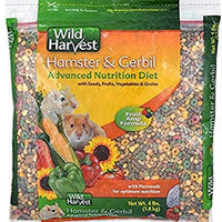 Wild Harvest Hámster y Gerbil dieta nutricional avanzada, 4.0 lbs - BESTMASCOTA.COM
