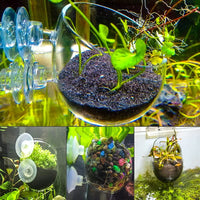 senzeal 2 x tazas de planta acuática de vidrio olla con 4 x ventosas para tanque de peces acuario Aquascape - BESTMASCOTA.COM