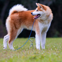 Xavier Training Solutions - Estaca para perro y corbata para perros con 164.0 ft Cable fuerte completo sin enredos, sistema de retención para perros de gato para patio, camping, al aire libre, mascotas de hasta 70 lb - BESTMASCOTA.COM