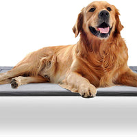 Mora Pets Dog Cot Outdoor Dog Bed Raised Dog Bed Elevated Pet Beds - BESTMASCOTA.COM