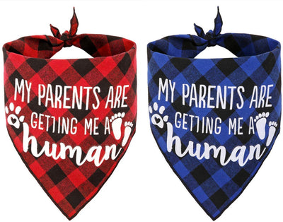 JPB My Parents are Getting Me a Human2 Pack Bandana para perro con revelación de género - BESTMASCOTA.COM