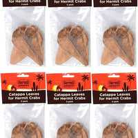 Fluker's Catappa Leaves for Hermit Crabs (5 Leaves Per Pack) - BESTMASCOTA.COM