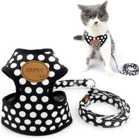 Ranphy - Arnés, sin tirar, acolchado, chaleco y correa para pasear con arnés de entrenamiento para niños y niñas, malla ajustable para gatos - BESTMASCOTA.COM