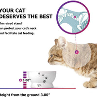 Y YHY cuenco de agua de cerámica para gatos, cuencos de comida para gatos de 5 pulgadas, protege la espina del gato, libre de estrés, prevención de reflujo, regalo para gato, color blanco - BESTMASCOTA.COM