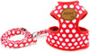 SMALLLEE_Lucky_Store - Conjunto de arnés de malla suave de nailon para mascotas, gatos - BESTMASCOTA.COM