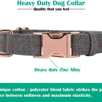 KUYOUGOU - Collar y correa para perro (6.6 ft), diseño elegante con juego de oro rosa, 3 longitudes ajustables, para perros pequeños a grandes - BESTMASCOTA.COM