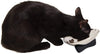 Jackson Galaxy Nova Acero Inoxidable Gato tazón - BESTMASCOTA.COM