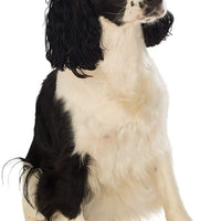 Disfraz de sombrero vaquero Rubies para mascotas - BESTMASCOTA.COM