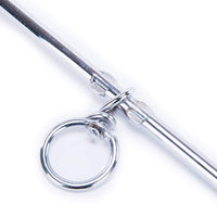 Perro corbata Fuera Cable y Estaca 30 ft al aire última intervensión, Patio y Camping, para pequeñas y medianas perros hasta 60 libras, 16" Juego, 30 ft Cable - BESTMASCOTA.COM