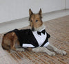 Evursua - Traje de esmoquin para perros grandes, para bodas y fiestas - BESTMASCOTA.COM