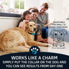Collar antiladridos PawPets – sin choque para perro – Humane con vibración y sonido ladrido collar para perros pequeños, medianos y grandes, de 5 – 110 libras – paquete de 2 – ideal como regalo - BESTMASCOTA.COM