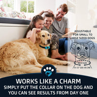 Collar antiladridos PawPets – sin choque para perro – Humane con vibración y sonido ladrido collar para perros pequeños, medianos y grandes, de 5 – 110 libras – paquete de 2 – ideal como regalo - BESTMASCOTA.COM