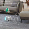 MalsiPree Robotic Juguete interactivo para gato, juguete automático de plumas/pelotas para gatitos/gatos, recargable por USB, batería de gran capacidad, todos los pisos/alfombras disponibles, 4 plumas de bonificación - BESTMASCOTA.COM