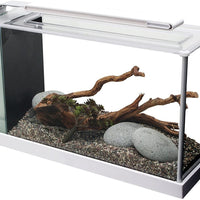 Fluval Spec V juego de acuario, 5 galones - BESTMASCOTA.COM