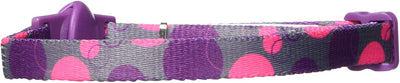 Aspen Pet collar de retención de moda - BESTMASCOTA.COM