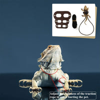 Bigbigjk - Juego de 2 correas de dragón (S, M, L, 2 unidades), arnés de dragón con barba, arnés ajustable para reptiles con correa de lagarto, anfibios de correa de gecko, correas para mascotas de animales pequeños (3 tamaños) - BESTMASCOTA.COM