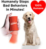 ShakeTrainer - Kit de entrenamiento para perros con vídeo instructivo, para detener los malos comportamientos de tu perro en minutos sin golpear ni rociar, fácil de usar - BESTMASCOTA.COM