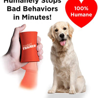 ShakeTrainer - Kit de entrenamiento para perros con vídeo instructivo, para detener los malos comportamientos de tu perro en minutos sin golpear ni rociar, fácil de usar - BESTMASCOTA.COM