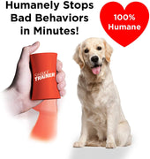 ShakeTrainer - Kit de entrenamiento para perros con vídeo instructivo, para detener los malos comportamientos de tu perro en minutos sin golpear ni rociar, fácil de usar - BESTMASCOTA.COM