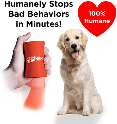 ShakeTrainer - Kit de entrenamiento para perros con vídeo instructivo, para detener los malos comportamientos de tu perro en minutos sin golpear ni rociar, fácil de usar - BESTMASCOTA.COM