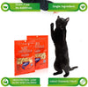 Cat Man Doo Life Essentials Congelado seco 5 oz Sabor: salmón. Tamaño: paquete de 3 - BESTMASCOTA.COM