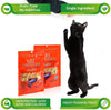 Cat Man Doo Life Essentials Congelado seco 5 oz Sabor: salmón. Tamaño: paquete de 6 - BESTMASCOTA.COM