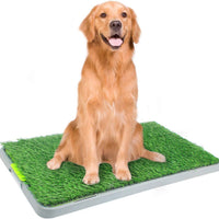 PAWISE - Bandeja de entrenamiento para perros (portátil, para orinar en interiores, bandeja de suelo para cachorros, tamaño grande - BESTMASCOTA.COM