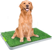 PAWISE - Bandeja de entrenamiento para perros (portátil, para orinar en interiores, bandeja de suelo para cachorros, tamaño grande - BESTMASCOTA.COM