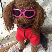 Enjoying Dog Goggles - Small Dog Sunglasses Waterproof Windproof UV Protection for Doggy Puppy Cat - BESTMASCOTA.COM
