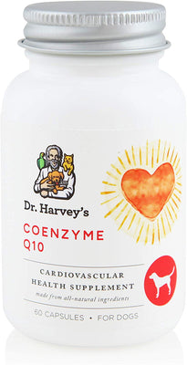 Dr. Harvey's Coenzyme Q10 Dog & Cat Supplement - BESTMASCOTA.COM