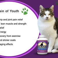 El regalo para la vida para gatos – The Fountain of Youth para Pets – 60 Gourmet Chewable Treats – fabricado en los Estados Unidos - BESTMASCOTA.COM