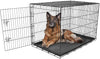 Carlson Pet Products - Caja de metal para perro con una sola puerta plegable y segura - BESTMASCOTA.COM