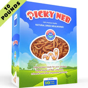 PICKY NEB 100% Non-GMO Dried Mealworms - Whole Large Meal Worms Bulk - High-Protein Treats Perfect for Your Chickens, Ducks, Wild Birds - BESTMASCOTA.COM