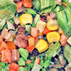 SFB alimentos tortuga frasco de 7.7oz - BESTMASCOTA.COM