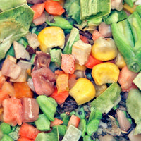 SFB alimentos tortuga frasco de 7.7oz - BESTMASCOTA.COM