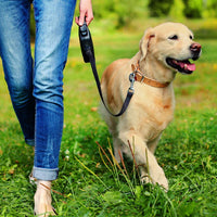 Simple Solution Artículo para ayudar al entrenamiento de perro (para orinar en exteriores) - BESTMASCOTA.COM