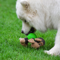 Juguete para perro Raffaelo, juguete de peluche, juguete de peluche para perro, juguete de masticar con espátula, limpieza de dientes para cachorros, perros pequeños y medianos - BESTMASCOTA.COM