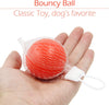 Conjunto de juguetes para perro pequeño, paquete de 6, balón, cuerda y juguetes para masticar para cachorro - BESTMASCOTA.COM