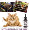 Gato de la cadera y conjunta glucosamina para gatos con Chondroitin y Opti-Msm ácido hialurónico para mayor flexibilidad de conjunta y el dolor alivio de la Inflamación y Artritis 2 floz - BESTMASCOTA.COM