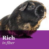 F.M. Brown's Tropical Carnaval Gourmet Guinea Pig Comida con Alfalfa y Pellets de Heno Timoteo – Dieta Diaria Fortificada con Vitaminas y Nutrientes - BESTMASCOTA.COM