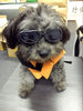 Enjoying Dog Goggles - Small Dog Sunglasses Waterproof Windproof UV Protection for Doggy Puppy Cat - BESTMASCOTA.COM