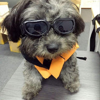 Enjoying Dog Goggles - Small Dog Sunglasses Waterproof Windproof UV Protection for Doggy Puppy Cat - BESTMASCOTA.COM