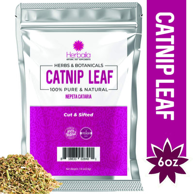 Catnip Leaf Cut and Sifted 6 oz, (Relaxing Tea & Digestive Aid) Bulk Catnip Tea in a Resealable Bag, Bulk - BESTMASCOTA.COM