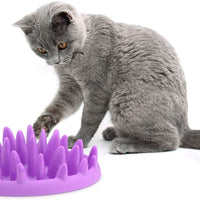 The Company of Animals Catch Interactive Feeder - BESTMASCOTA.COM