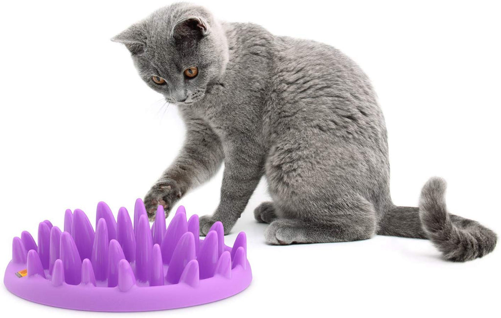 The Company of Animals Catch Interactive Feeder - BESTMASCOTA.COM