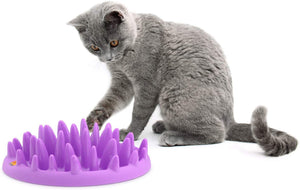 The Company of Animals Catch Interactive Feeder - BESTMASCOTA.COM