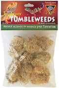 T-Rex Terra Acentos tumbleweeds, Estándar - BESTMASCOTA.COM