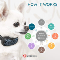 GoodBoy - Collar pequeño para perros pequeños y medianos, resistente a la intemperie y vibrante, con dispositivo de entrenamiento antiladrillos que es el más pequeño y seguro en Amazon – ¡sin choques ni pinzas con pinchos! (6+ lb) - BESTMASCOTA.COM