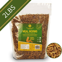diig Dried Mealworms - Comidas para Aves Pollos - BESTMASCOTA.COM